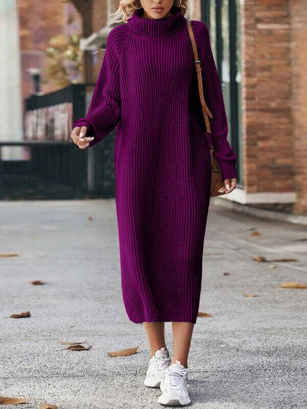 Turtleneck Raglan Sleeve Sweater Dress