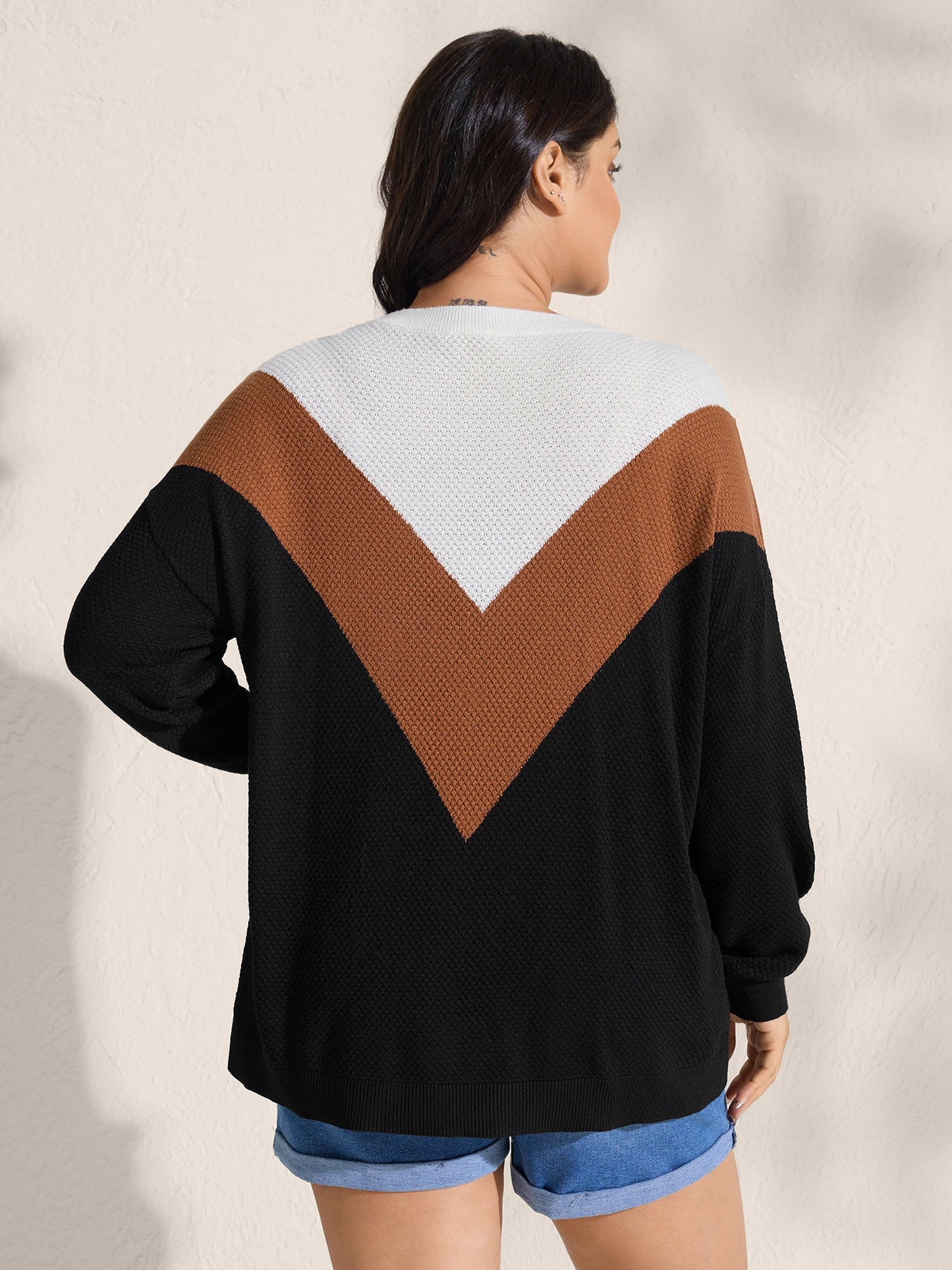 Textured Color Contrast Round Neck Pullover